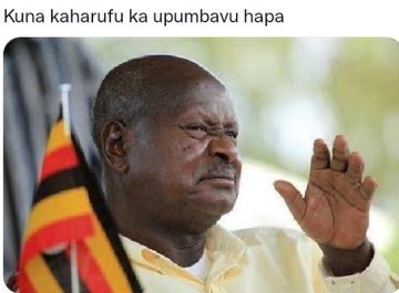 Letvshenko's tweet image. 