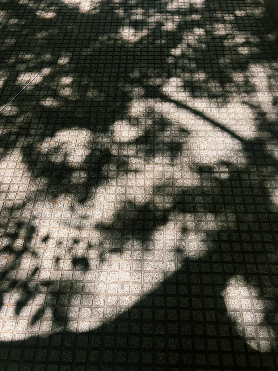 ¿Pueden las fotos ser cálidas como un domingo de primavera?