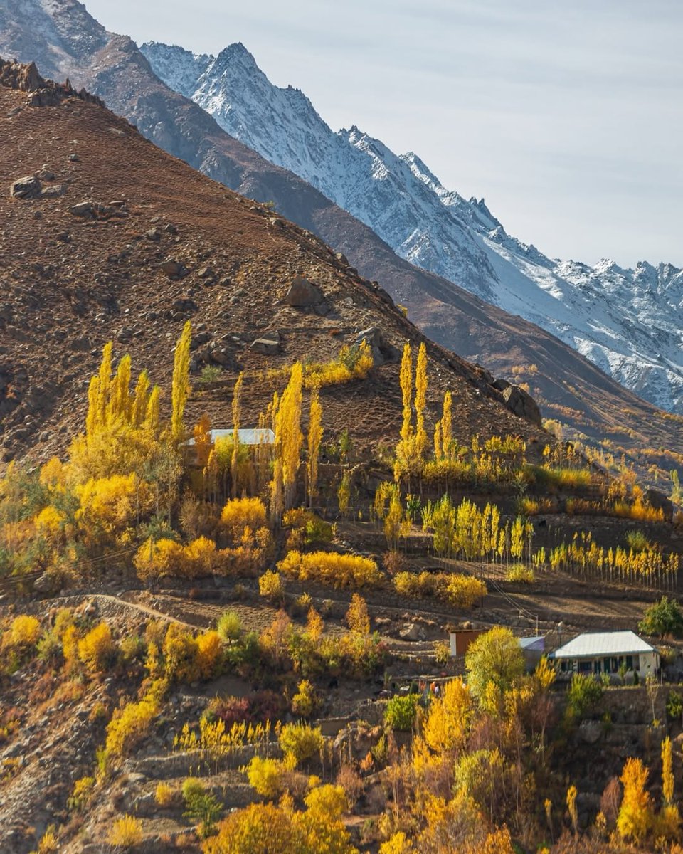 ChitralPK's tweet photo. Autumn and the mountains of Hindukush 🍁🏔️

📍Begusht Garamchashma- Chitral 

📷 Shahzad Ali
#Autumn #Chitral #Pakistan https://t.co/MwjbMKdNiM