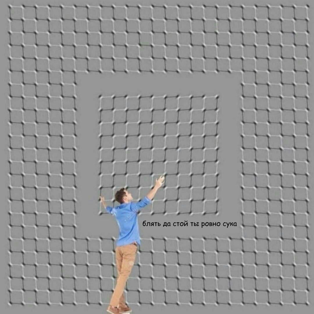 Как ощущаются фотографии, на которые айфон рандом наложил эффект «пространственная сцена»: