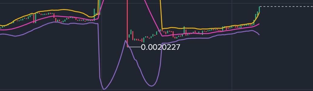 BROCCOLI tweet media