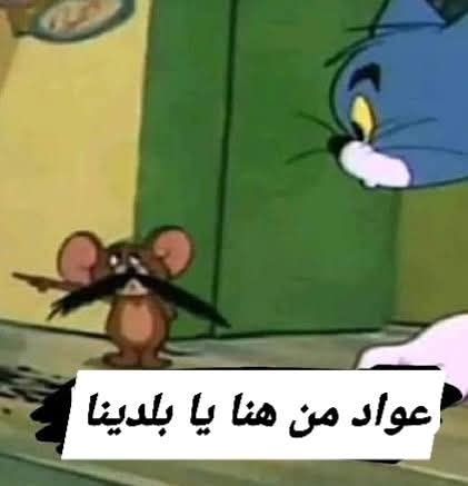 طاهر في الجول التاني عمال يجري بالكورة مش عارف يعمل ايه

- ابننا حسام عبدالمجيد ❤️❤️ : ...