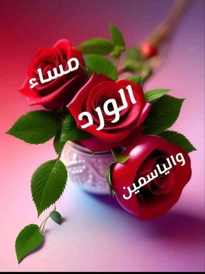 ذي يزن الخطيب tweet media
