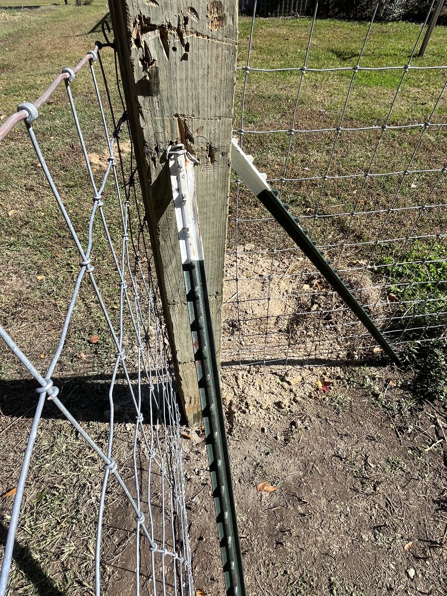 Some of my fence jobs are tight pretty and perfect.

Some of them are a little rough.

But I built all of them.

Paying another man to build my fences? That’s hotel chair user behavior.