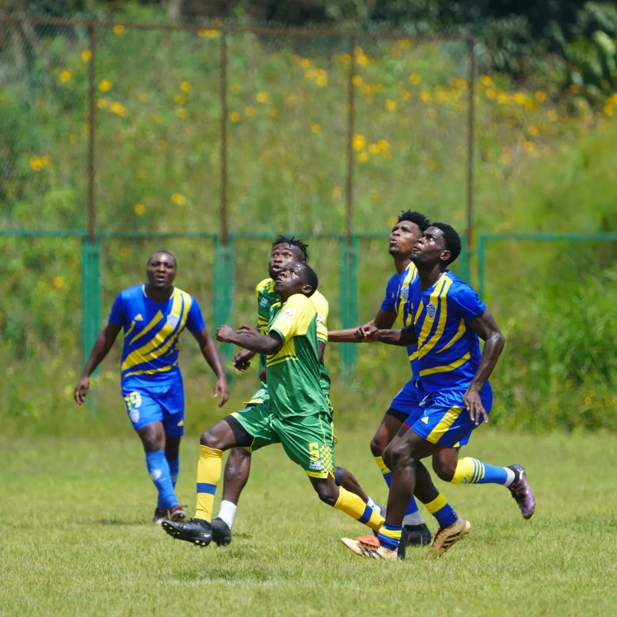 Sable F.C de Batié tweet media