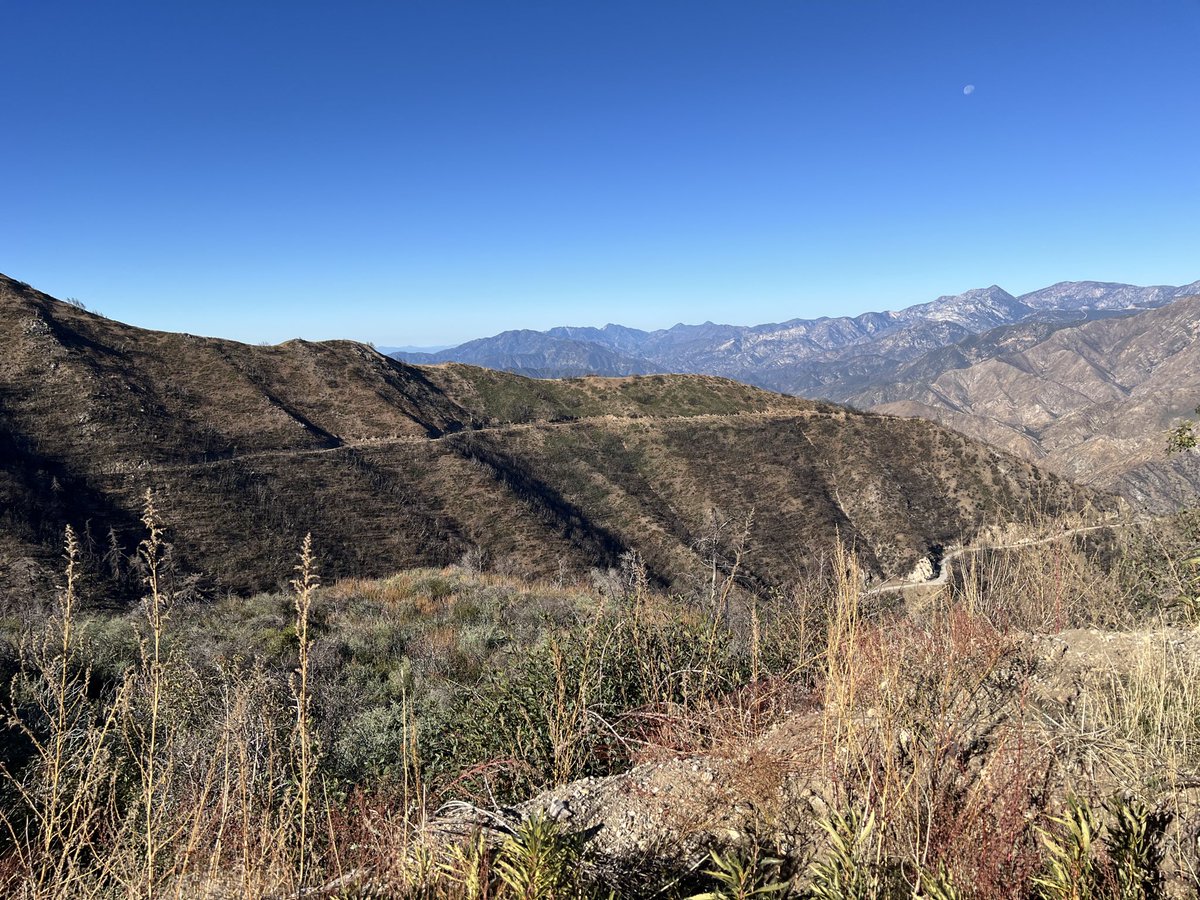 pathangladiator's tweet image. Trust the hours no one saw, they have built the version of you that shows up now.