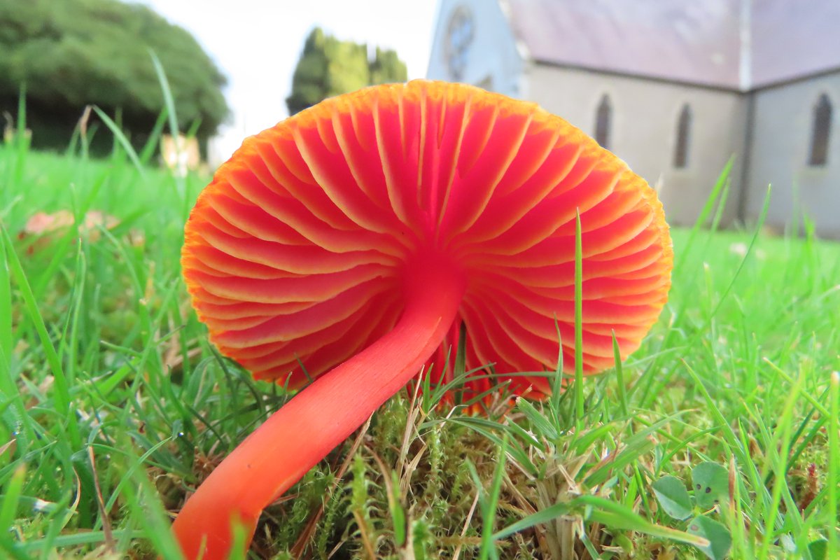 Donna Rainey tweet media