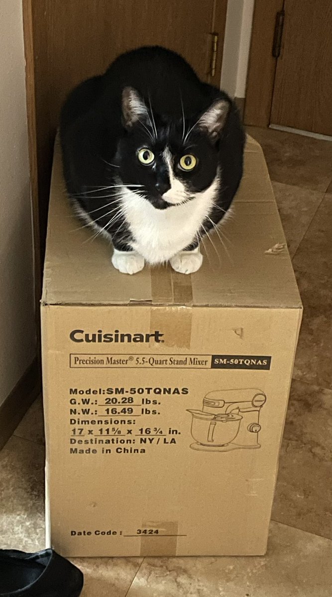 Andracula 🩸 tweet media