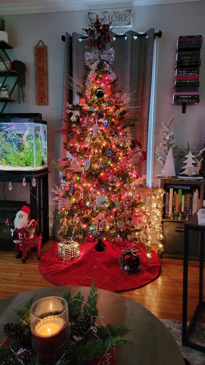 decided to decorate early this year since we got snow in wisco