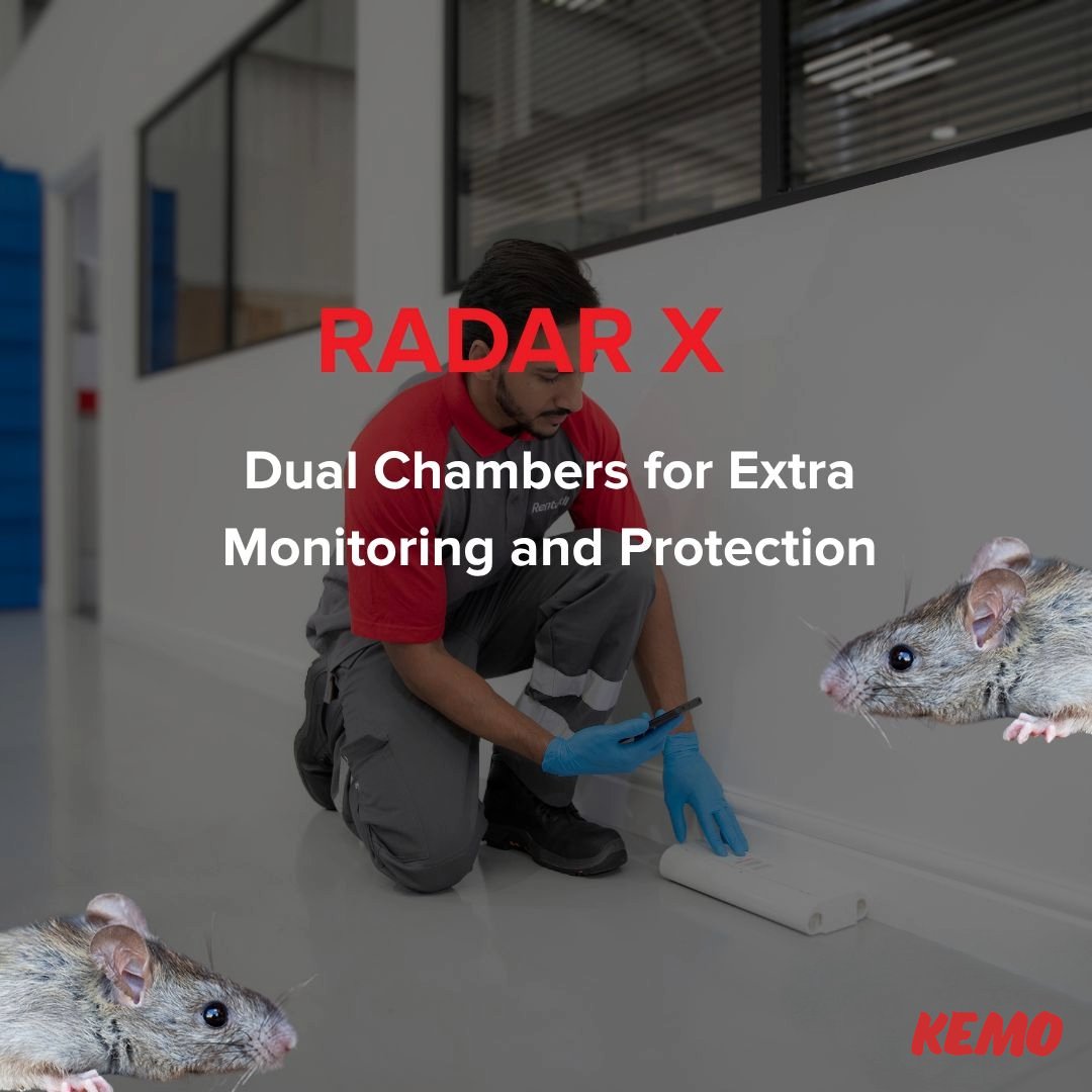 perfectcareio's tweet image. RADAR X: The effective, bait-free internal mouse control solution! Enhanced with dual chambers for extra monitoring and protection in commercial spaces.

#PestControl #RADARX #MouseControl #BaitFree #KEMO