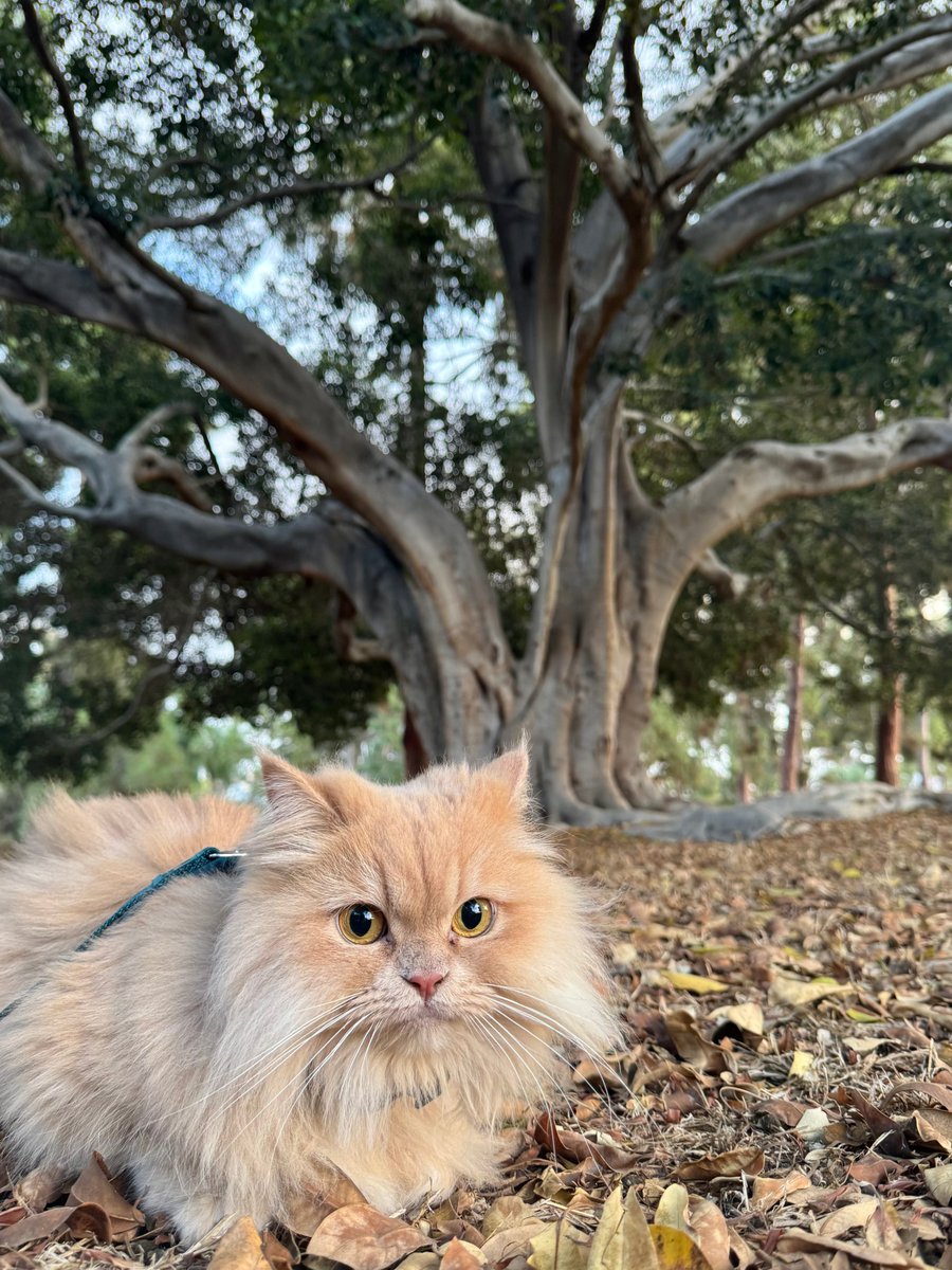 ulkar_le's tweet photo. Real life is outside not inside of your phone. https://t.co/zHQVN8To1Z
