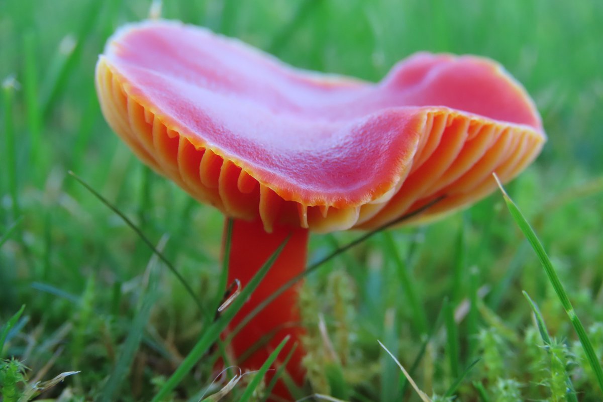 Donna Rainey tweet media