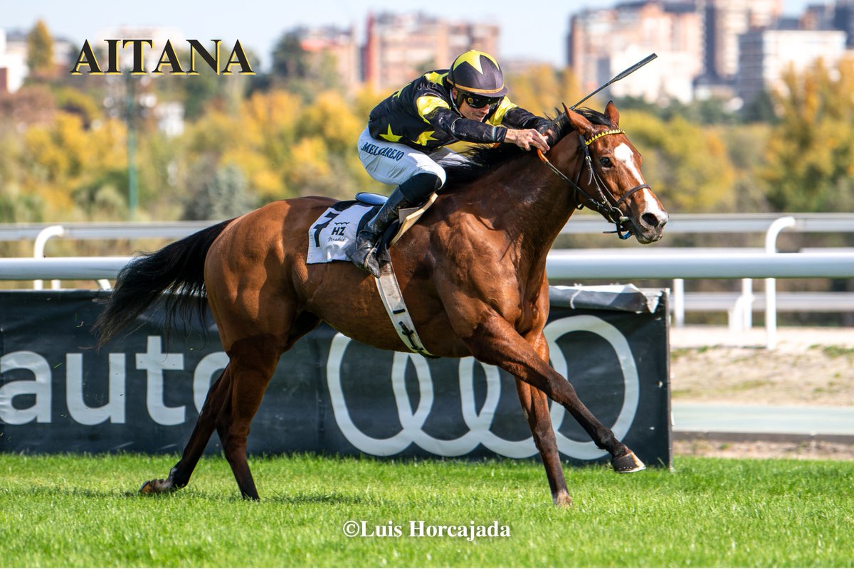 LUIS HORCAJADA (@luishorcajada66) on Twitter photo 