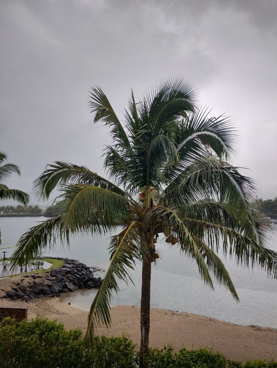 It's raining in Apia, Samoa.