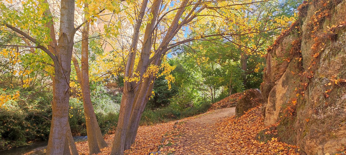 Hugonomak's tweet image. Tajos de Alhama de Granada #photograghy #NaturePhotography