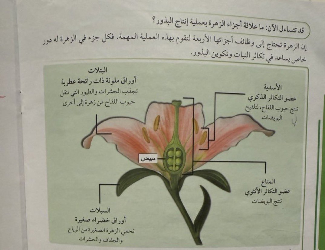 قبل لا تنامون ..

دعاء جماعي على منهج العلوم للابتدائي :

- المؤلفيـن📕
- الموافقين🖌️
- الطباعيـن📇
- واللي مو فاهمين ومؤيدين📈
- واللي فاهمين بس يستعبطون🪇
- والمغردين التربويين ( المطبلين )🥁

آآمين 🤲🏼 يارب العالمين