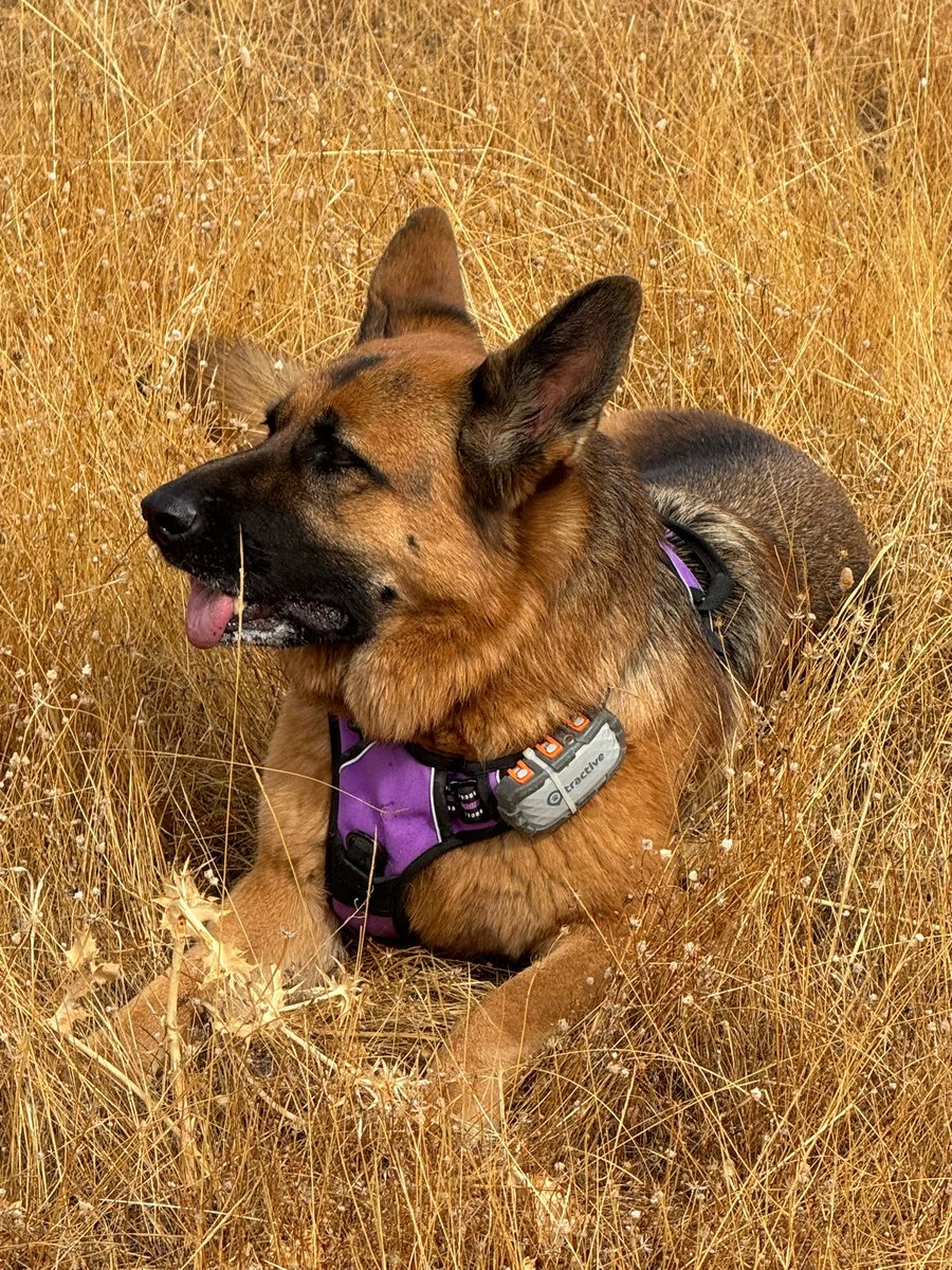 Arya 💛
📸 Diego