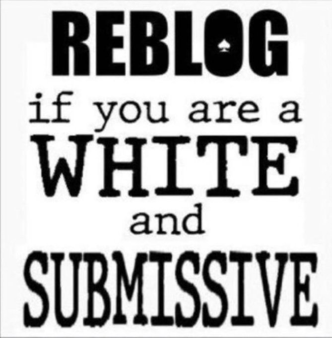 Michaelshanhour (@michaelshanhour) on Twitter photo 