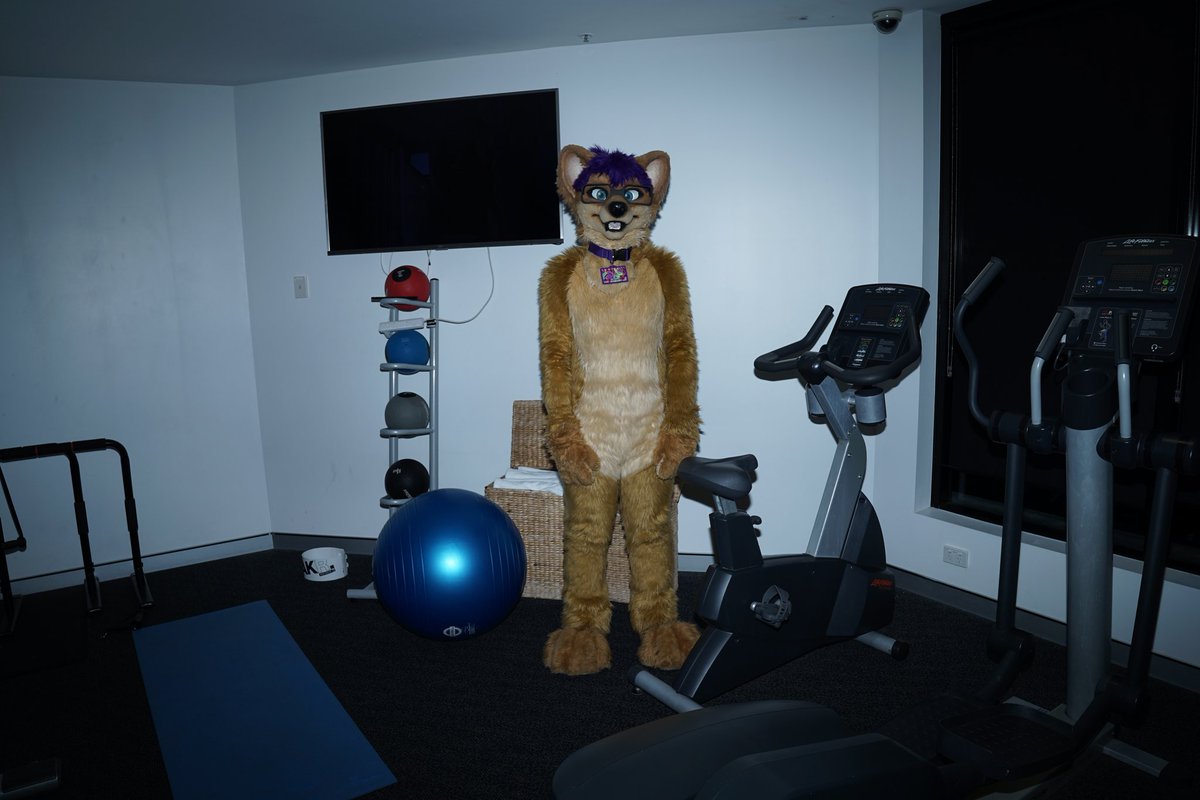 Kal Dingo tweet media