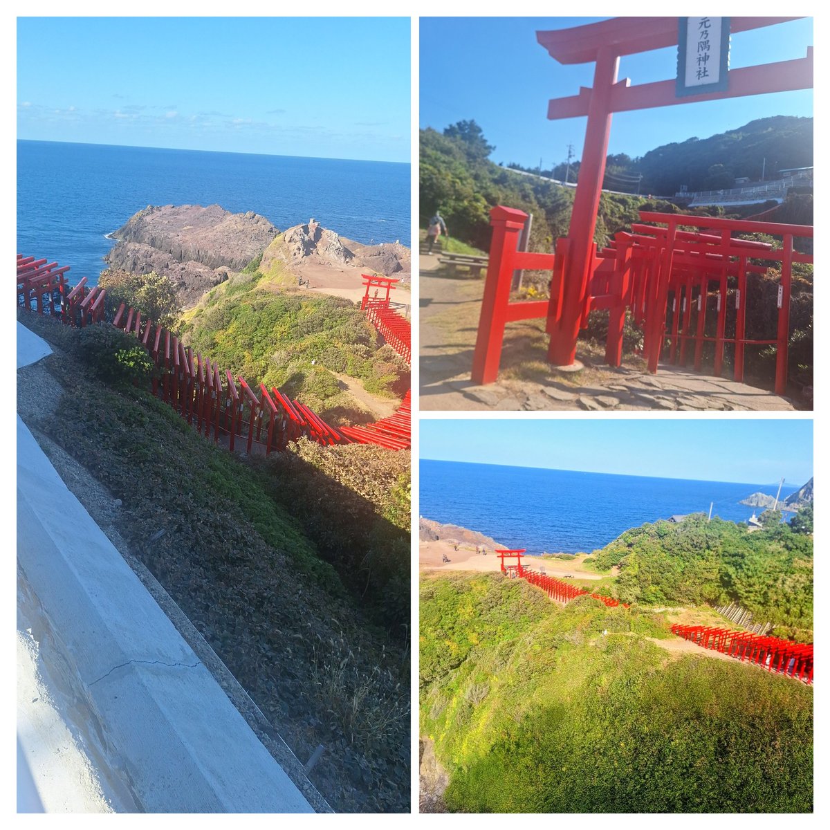 弘美^-^　ありがとう🌷当分休み時々呟くかも🙏いいね返信のみ tweet media