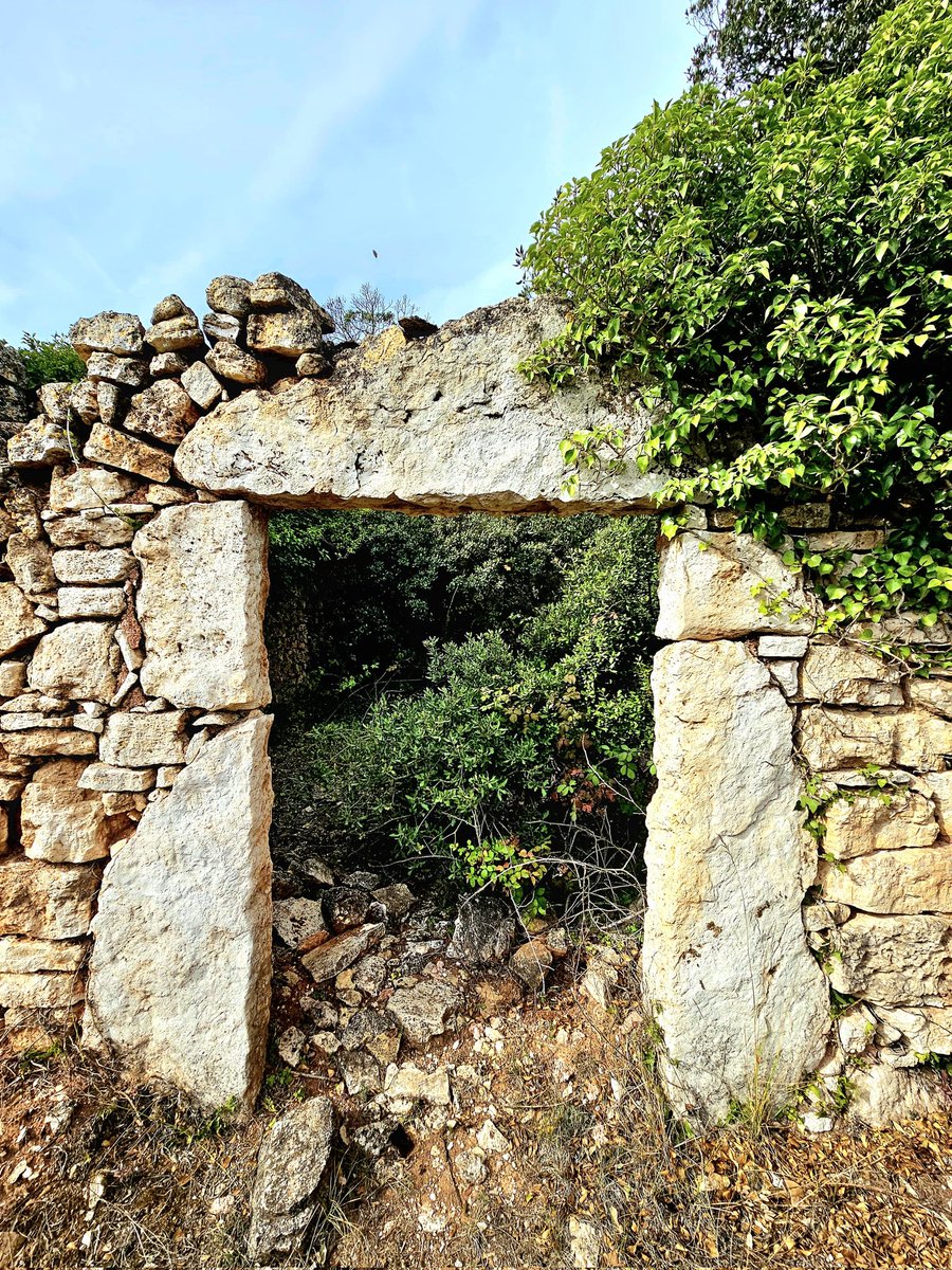camins_de's tweet photo. Boscos de les Muntanyes de Prades.
Laberints plens de vida.
#muntanyesdeprades #concadebarbera #natura #bellesa #tardor #paisatgessecrets #solitud https://t.co/t4w4mVsPqC