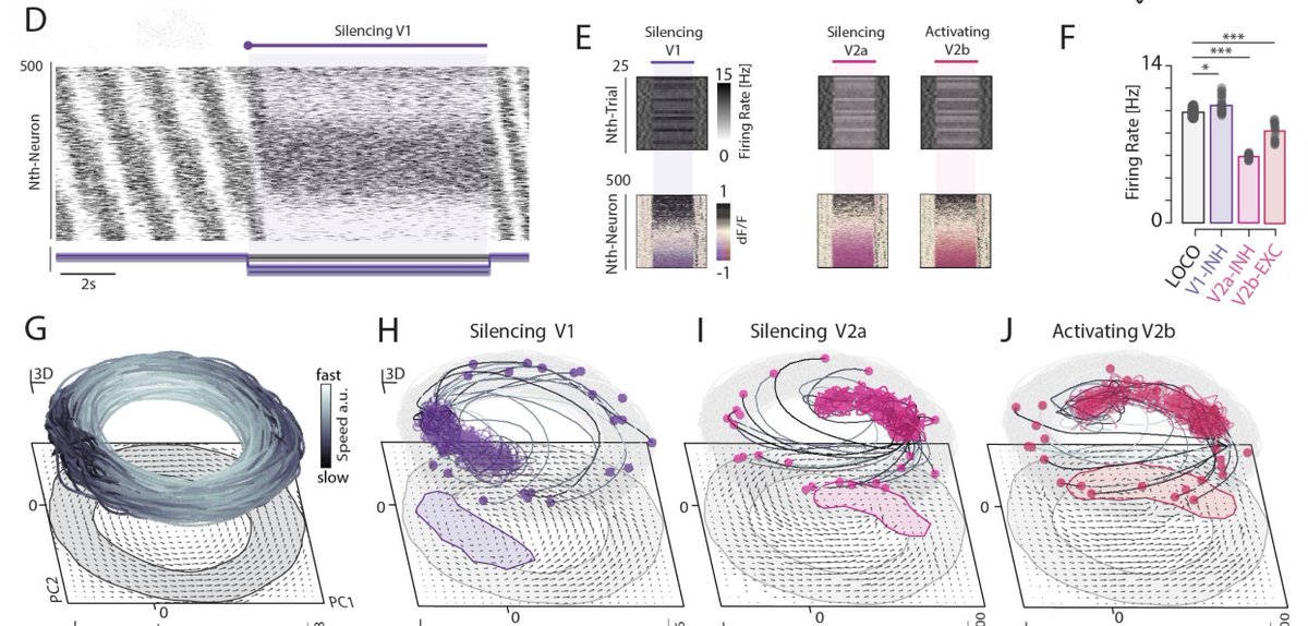 Rune W. Berg tweet media