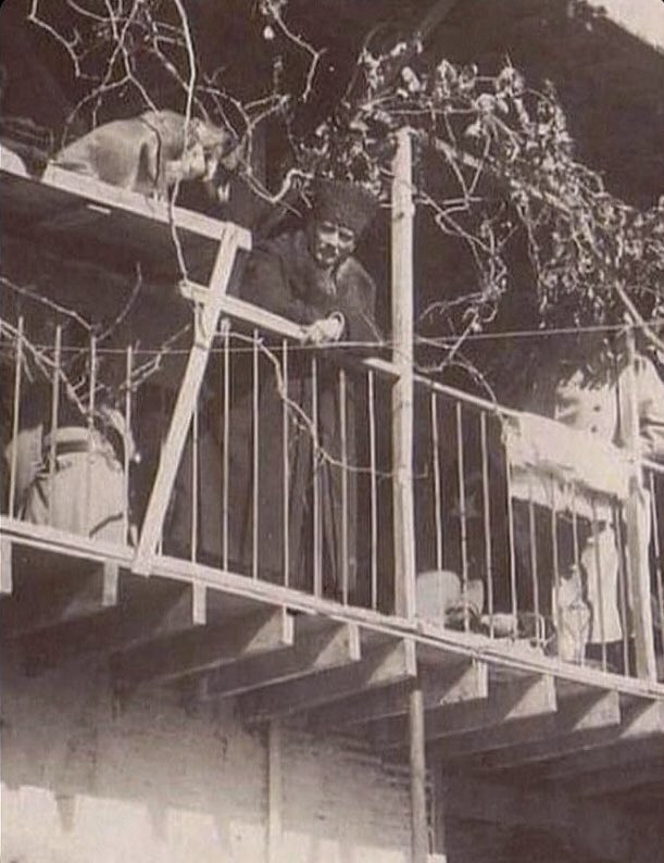 Fikirler Ölmez!
#10Kasım