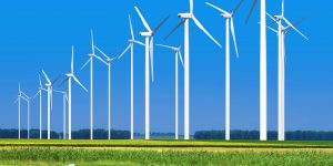 Stephen Anthony tweet media