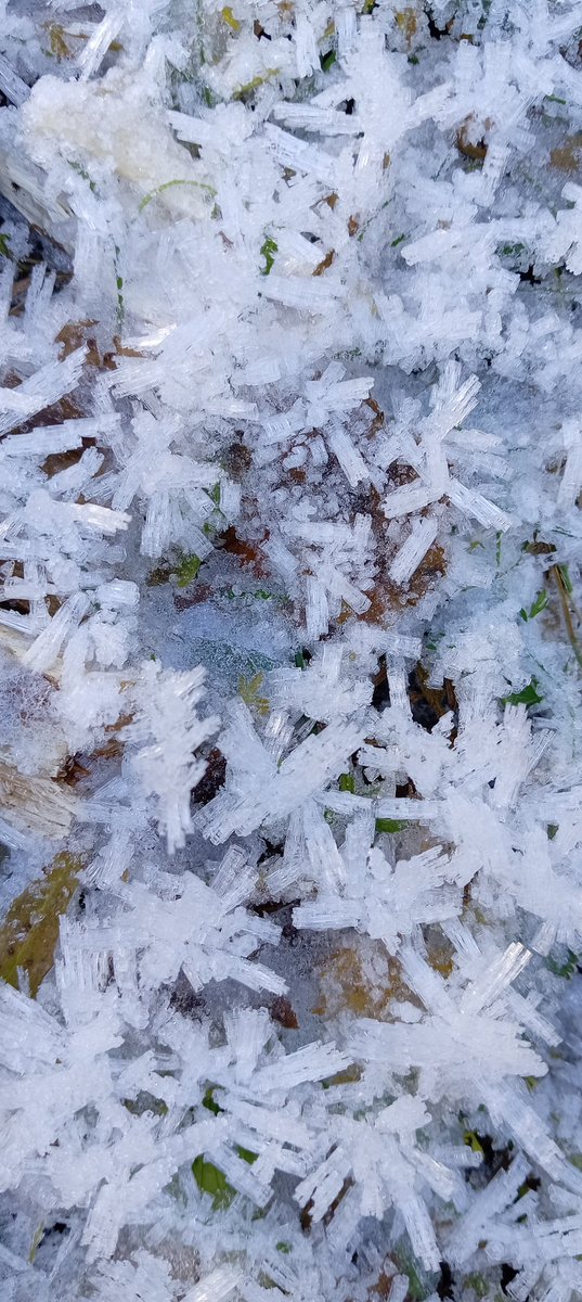 Südtirol im Herbst. 🍂❄️