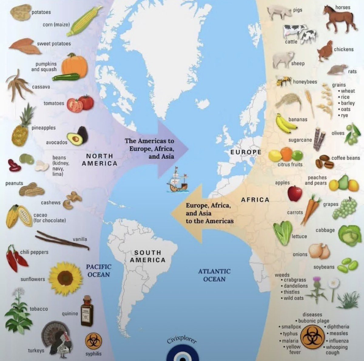 ¿Quién ganó más en este intercambio?