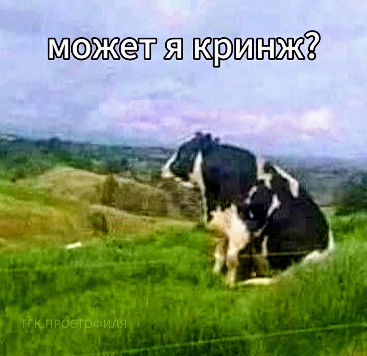 Думаю об этом каждый день