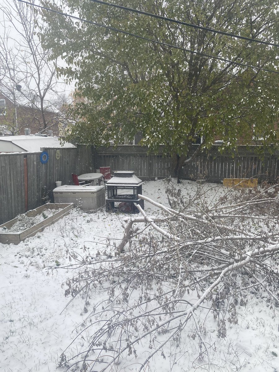 ChecklandGov's tweet photo. First Snowfall of the Season in Checkland ❄️ Views from Paxia
#Snow #Winter #Checkland https://t.co/29rcdcIYyw