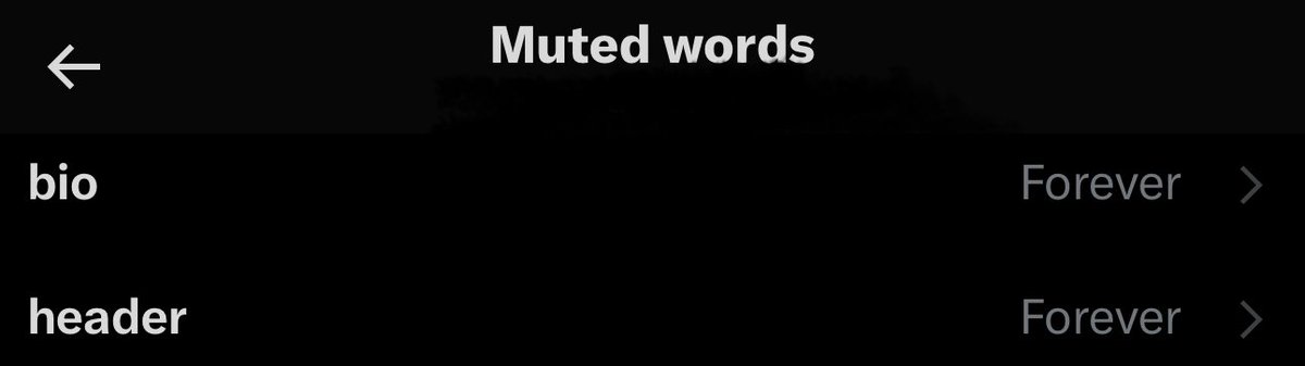 💿 (@plasticdisk) on Twitter photo 