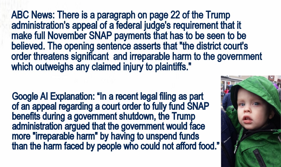 Whether you are a Democrat, a Republican, prefer not to claim a political party, or just a human with a heart for others. What the Trump Administration filed in the Supreme Court is UNACCEPTABLE.