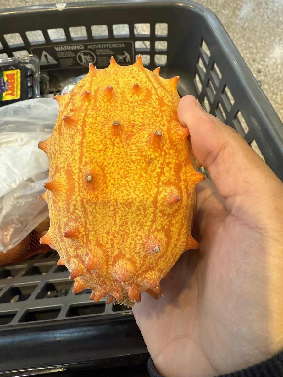 I always find the weirdest fruits to try lol