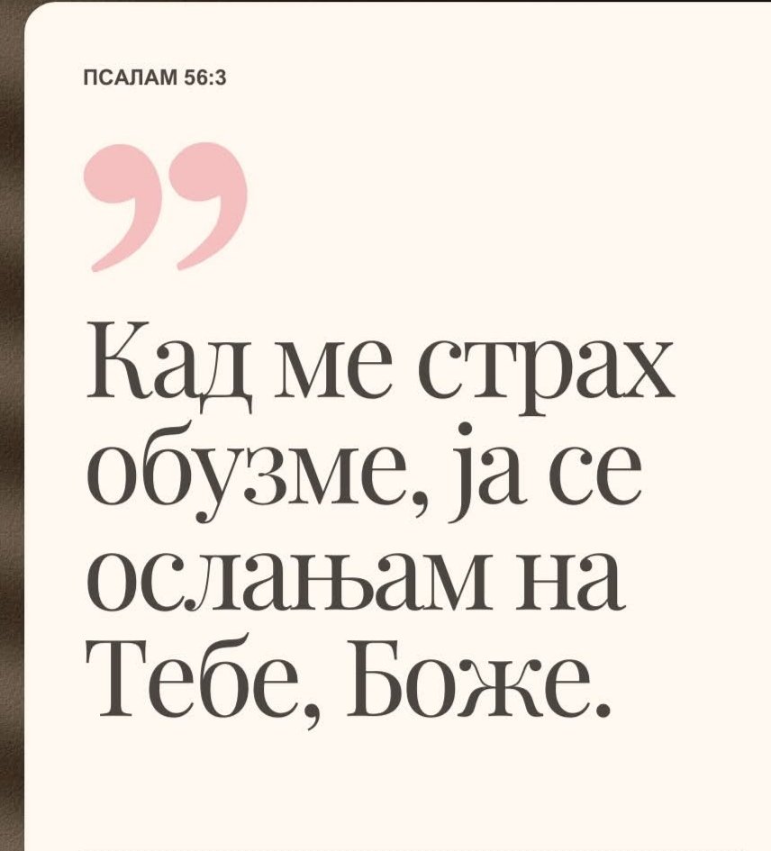 Сандра tweet media