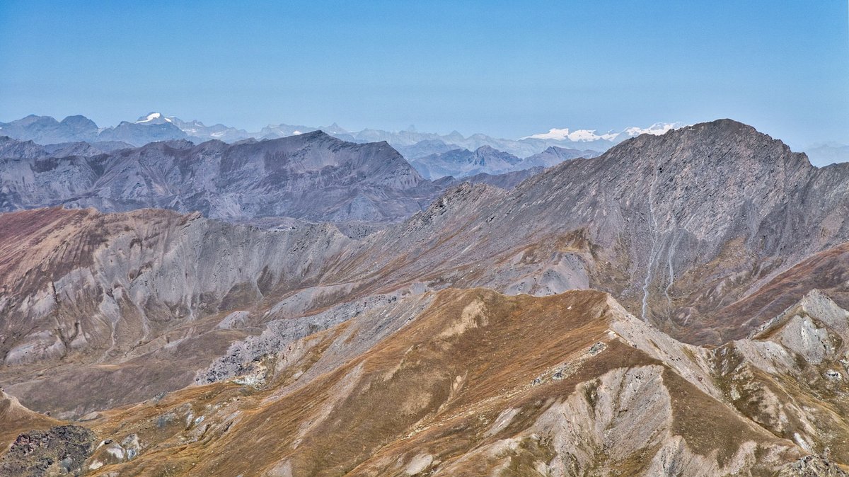 Franck Rando tweet media