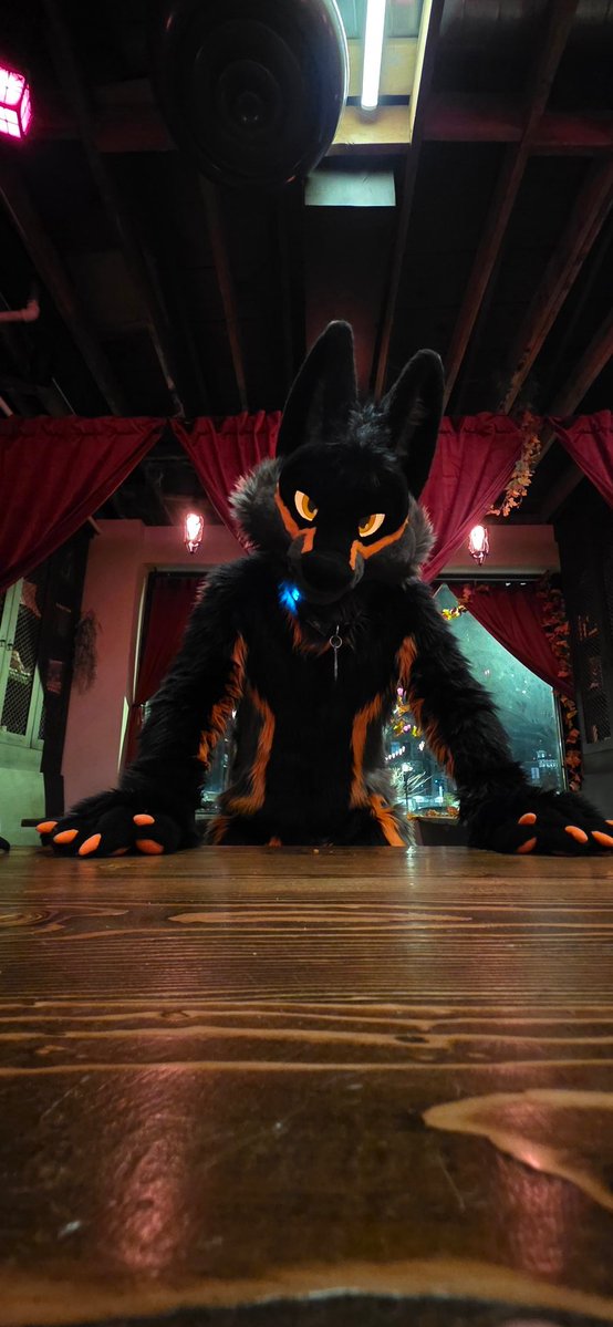 So, are you in? Do you even have a choice?
📸 <a href="/ChanceTheFox/">Chance</a>