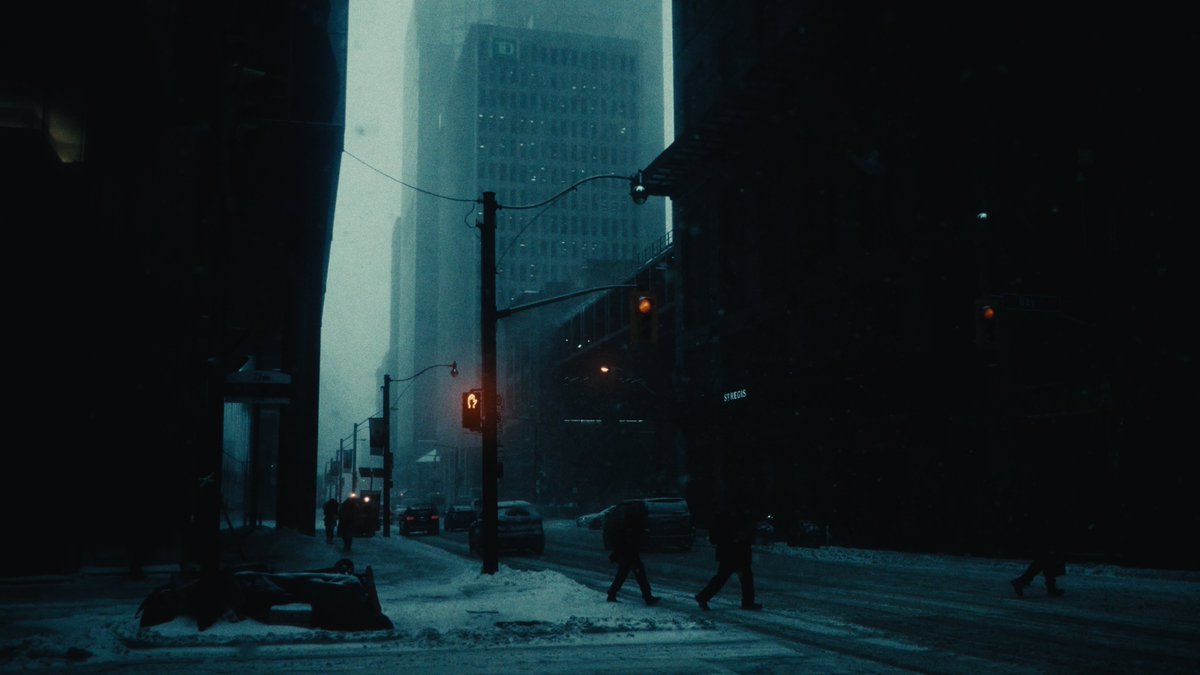 pictures i took in a snowstorm.