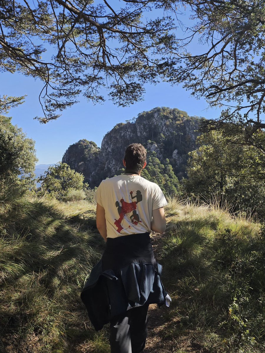 rubedabarniol's tweet image. Diumenges amb resgust de tardor a les obagues de Queralt🍂☀️