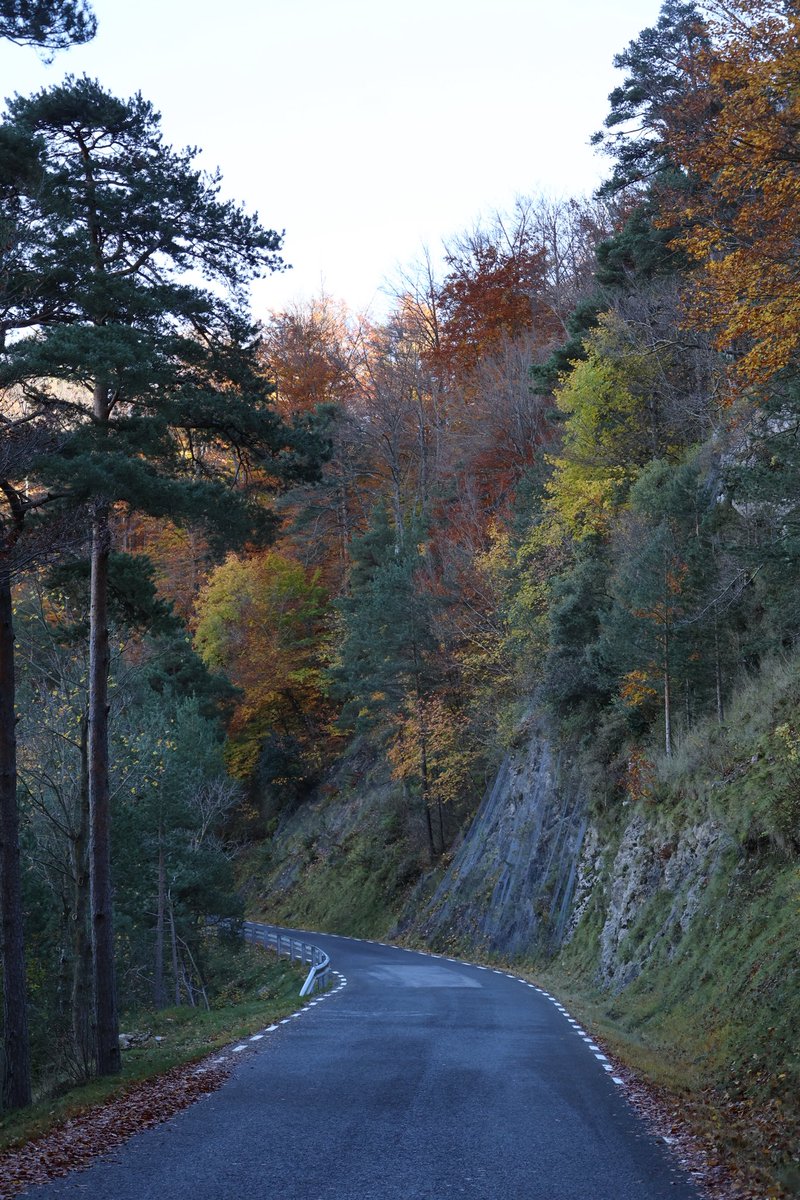 rubedabarniol's tweet image. Diumenges amb resgust de tardor a les obagues de Queralt🍂☀️