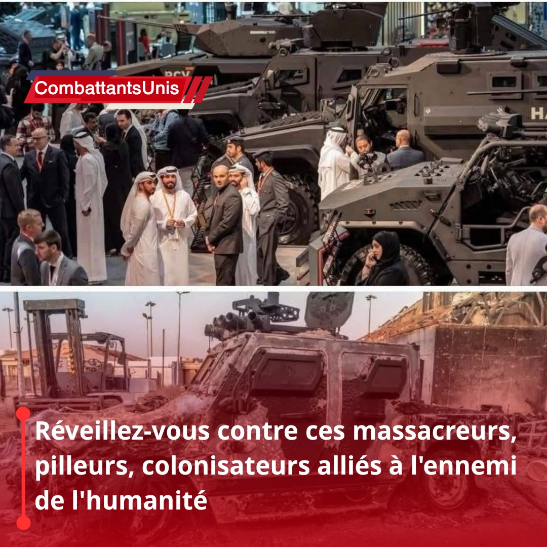 CombattantsUnis🇵🇸🇨🇩🇸🇩 tweet media
