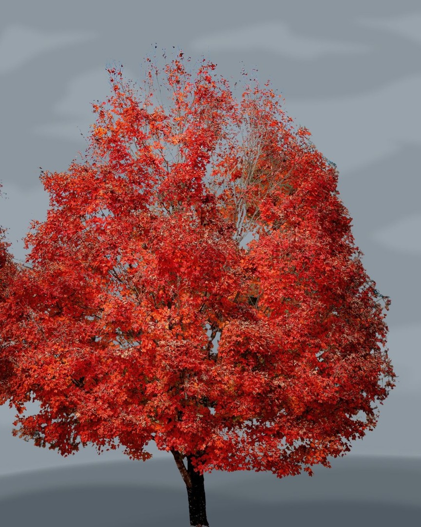 See my many coloured fields 🍂

Mark the changing seasons in sound with our latest commute playlist, Music for Autumn – featuring a stunning recording of Vivaldi's Le Quattro Stagioni from @continuofndn Patron @rachpodger ❤️

Listen now 🎧 go.continuoconnect.com/music-for-autu…