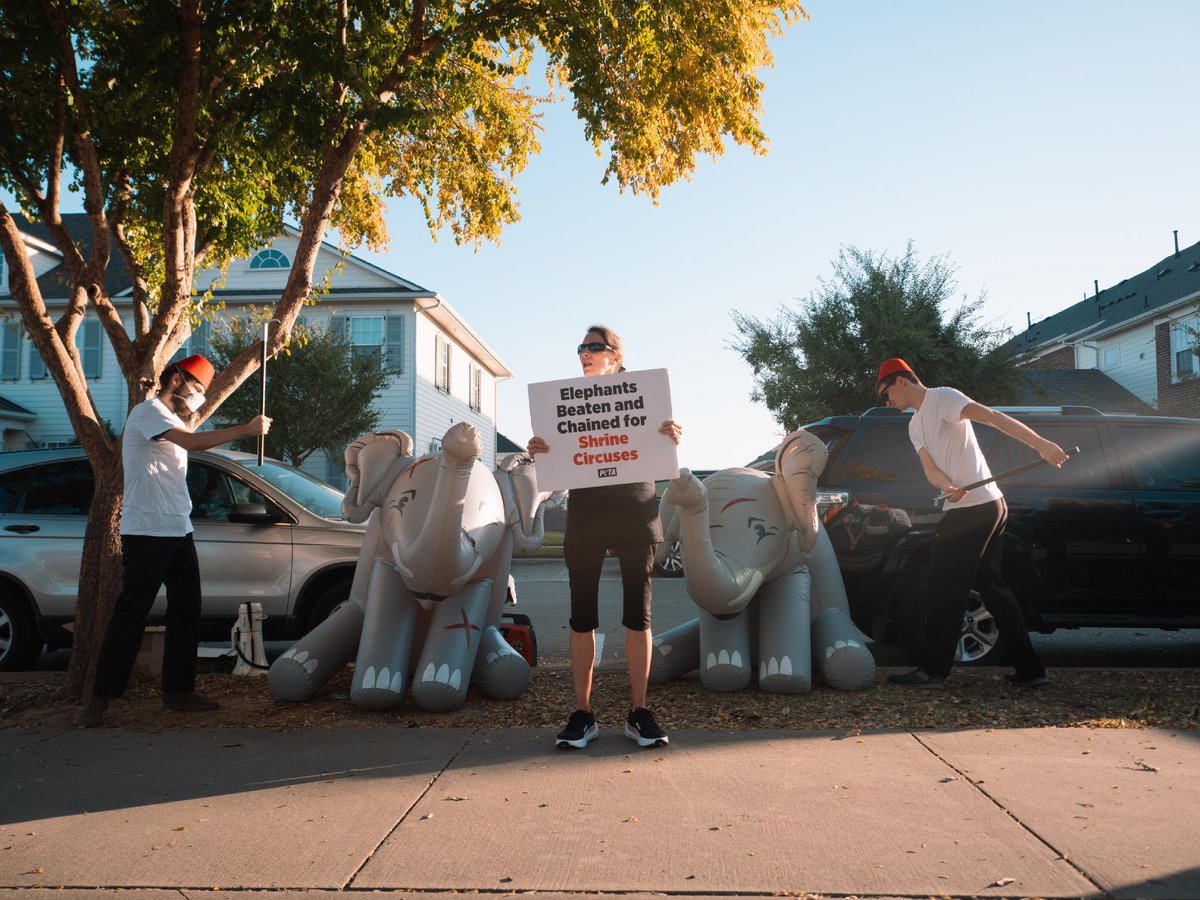 Rus porno filmlar onlayn Porno Valya Laksheeva