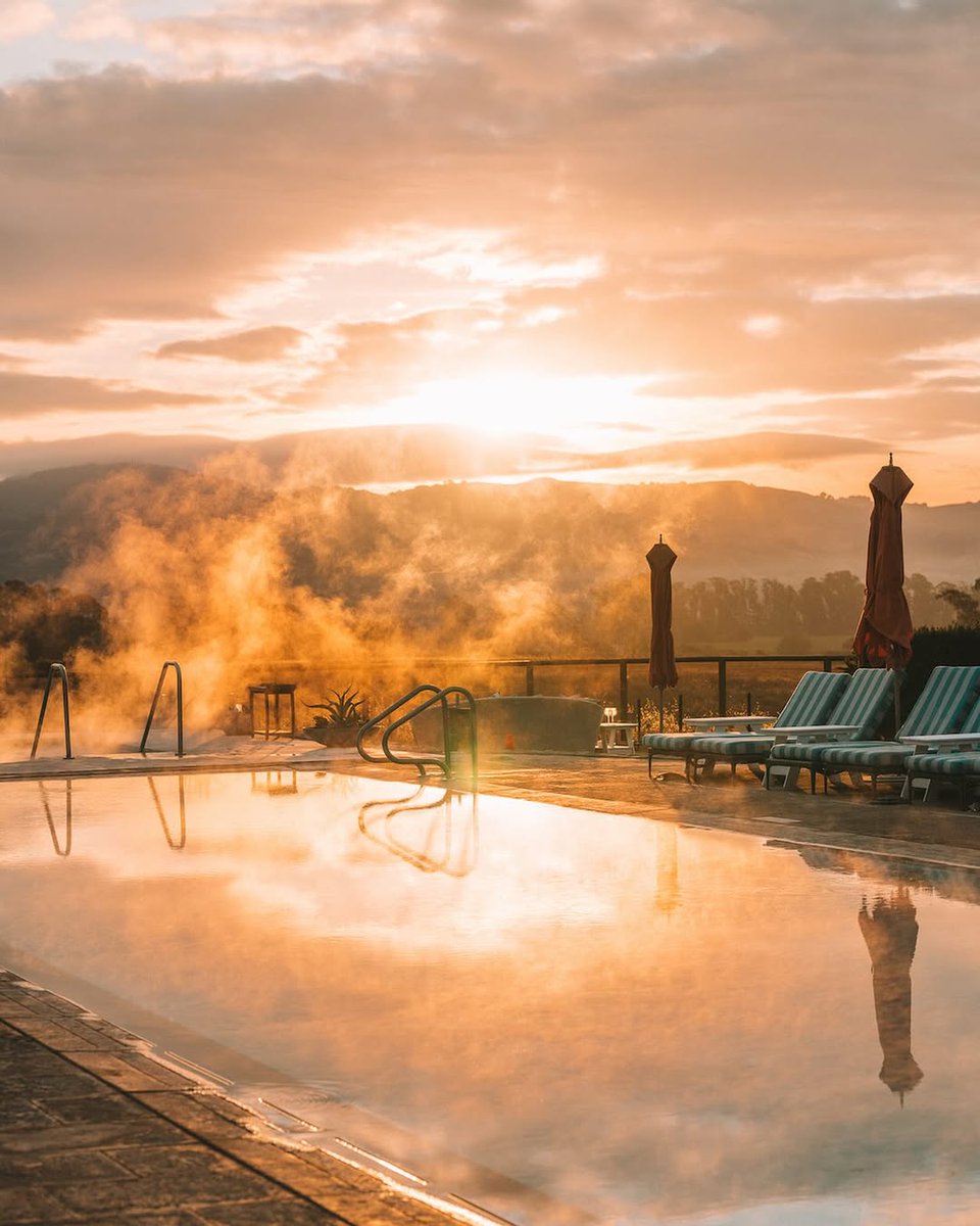 Stay Beyond Green tweet media