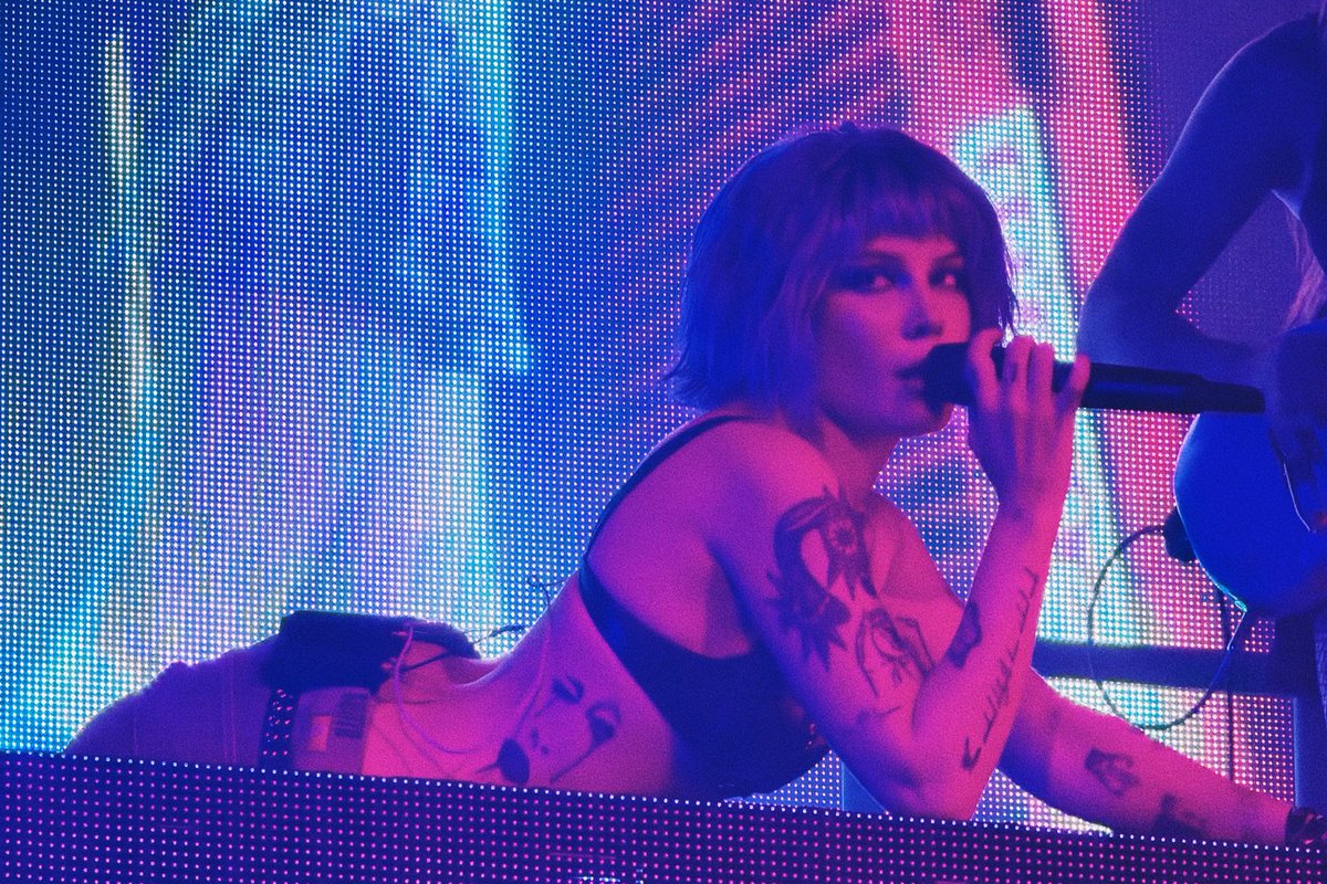 all dogs go to heaven. well what about a bitch?