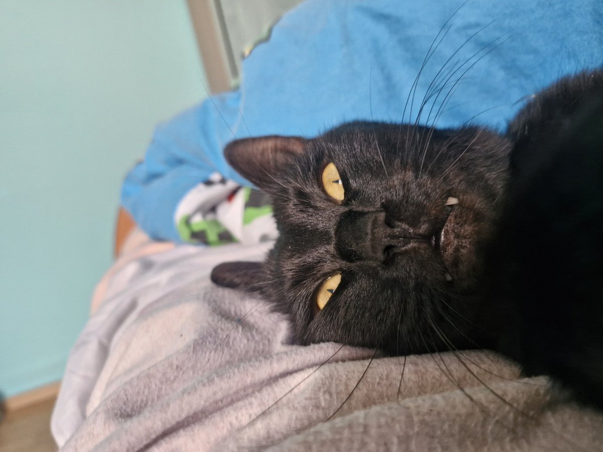 what the FAWK could you possibly want bro