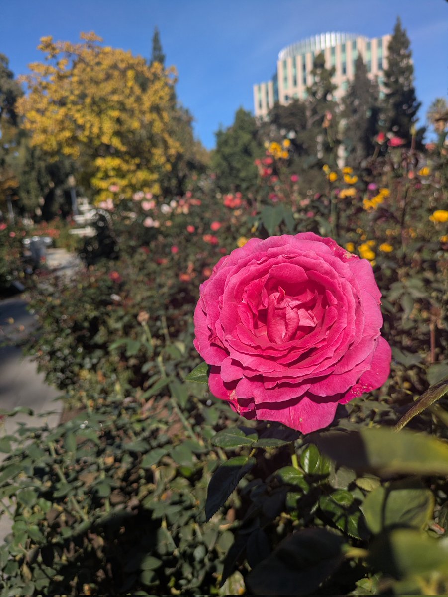 Shane Stone tweet media