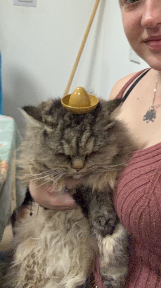 ℂ𝕣𝕠𝕟𝕦𝕤🪐/ CS Studios 🔜??? tweet media