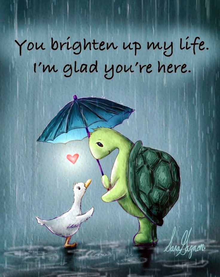 Geo40Wilson's tweet image. 💛👍💛